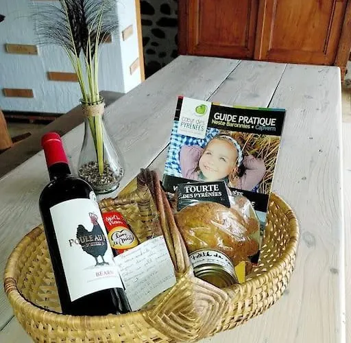 Eth Arreyen Avec Piscine Privee Et Magnifique Vue Sur Pyrenees * Tilhouse